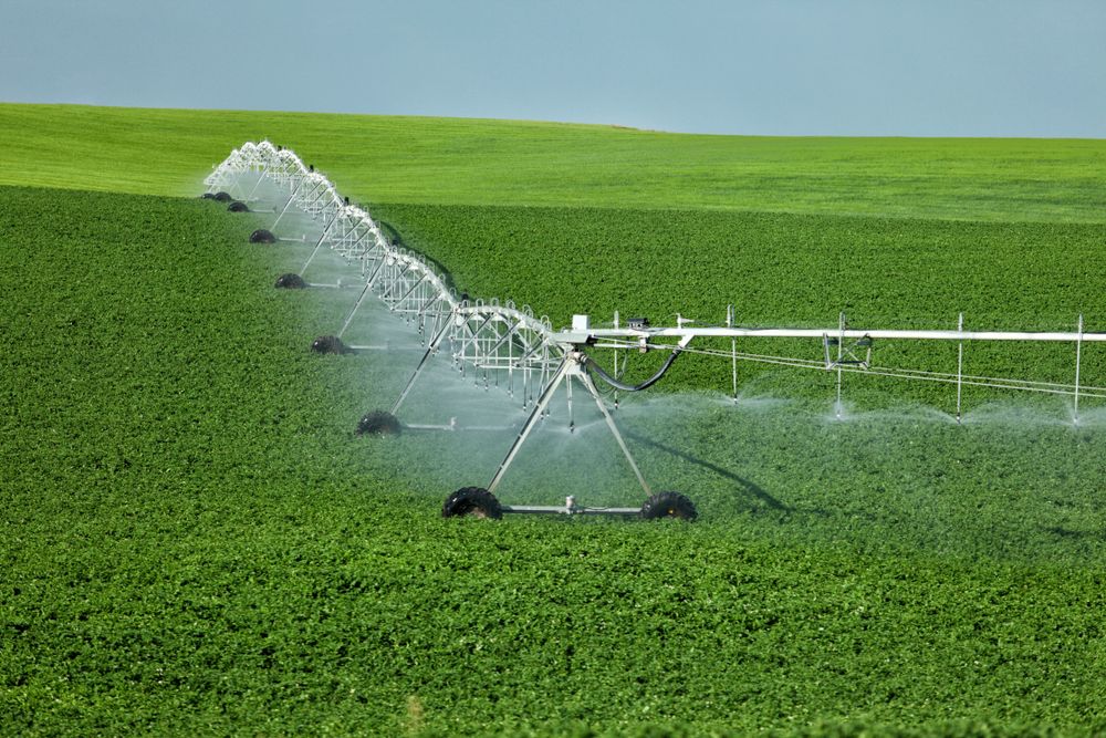A Sprinkler is Spraying Water on a Green Field — Sweeney's Pumps & Irrigation In Stroud, NSW