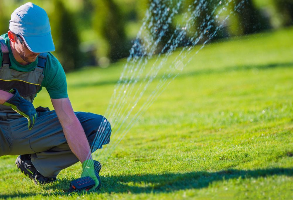 A Man is Kneeling Down and Watering the Grass With a Sprinkler — Sweeney's Pumps & Irrigation In Stroud, NSW