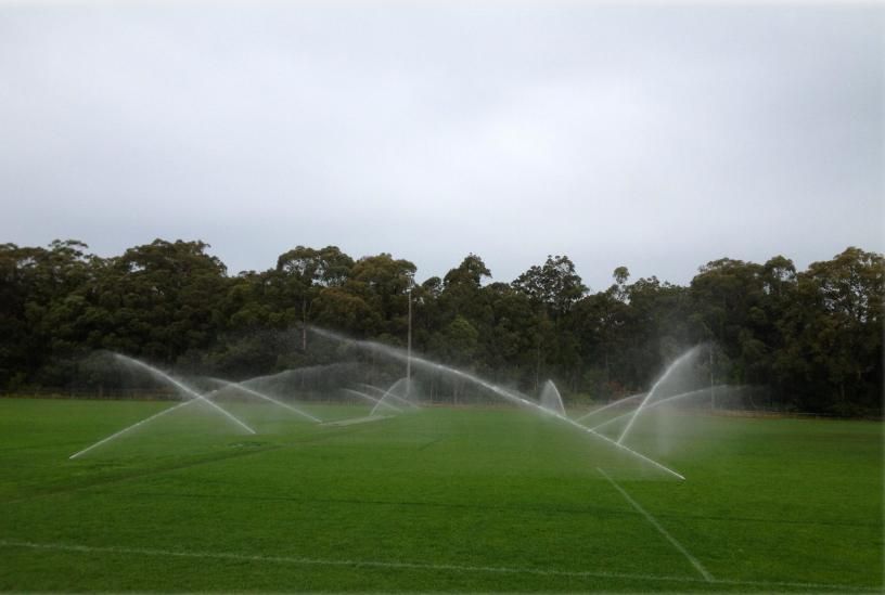 Sprinklers Watering a Green Field, Trees in The Background Under a Cloudy Sky — Sweeney's Pumps & Irrigation In Medowie, NSW