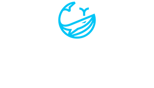 Southern Pumping Logo