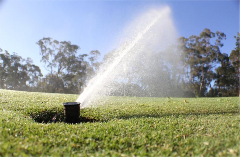 Sprinkler Spraying Water on Green Grass, Trees in The Background, Sunny Day — Sweeney's Pumps & Irrigation In Medowie, NSW