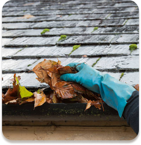Pressure washing services from Shingle Pros USA