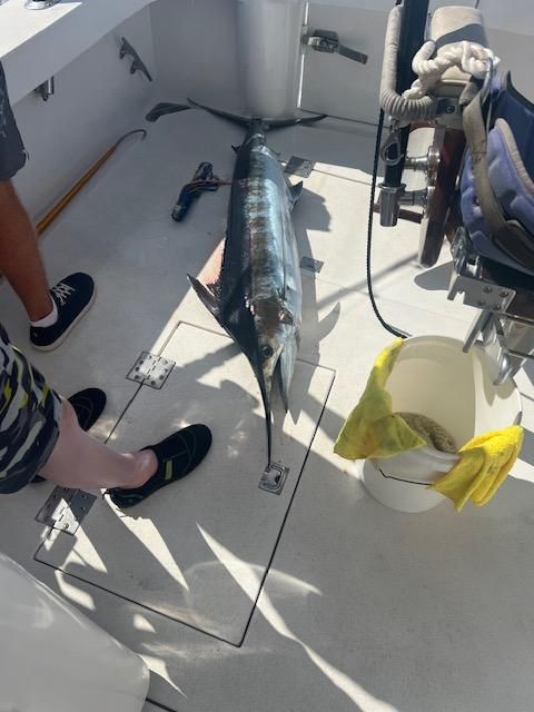 A person standing next to a fish on a boat