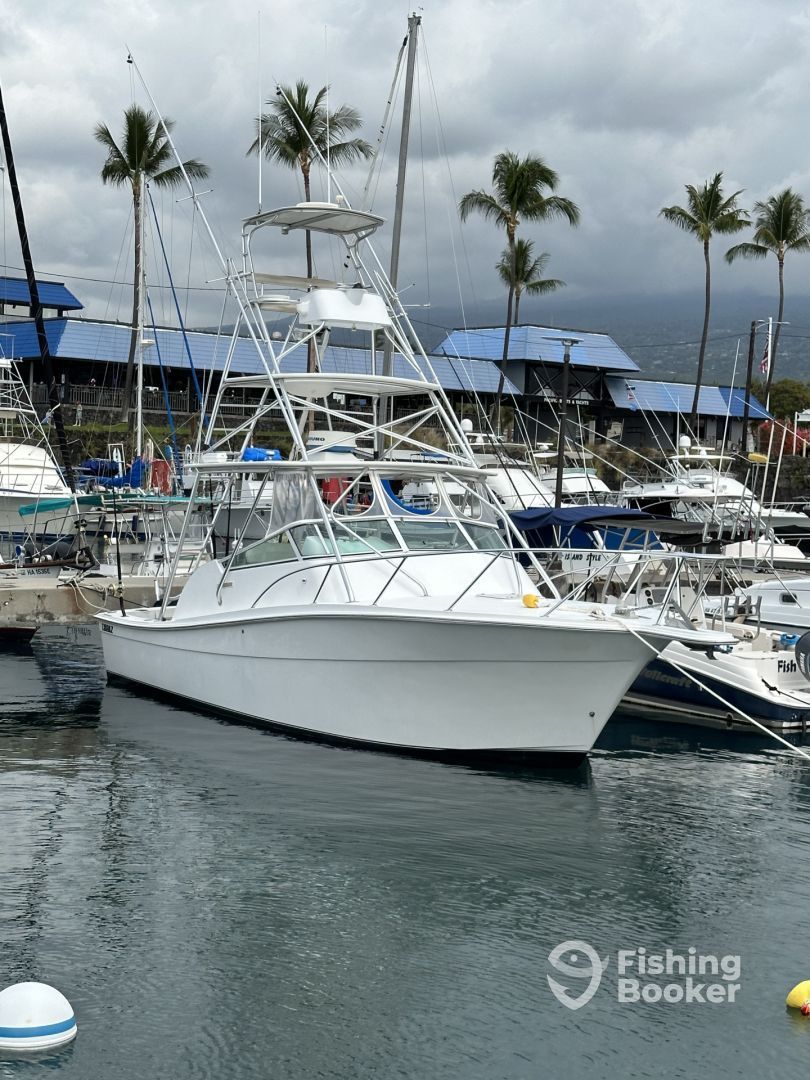 A large white boat is docked in a marina.