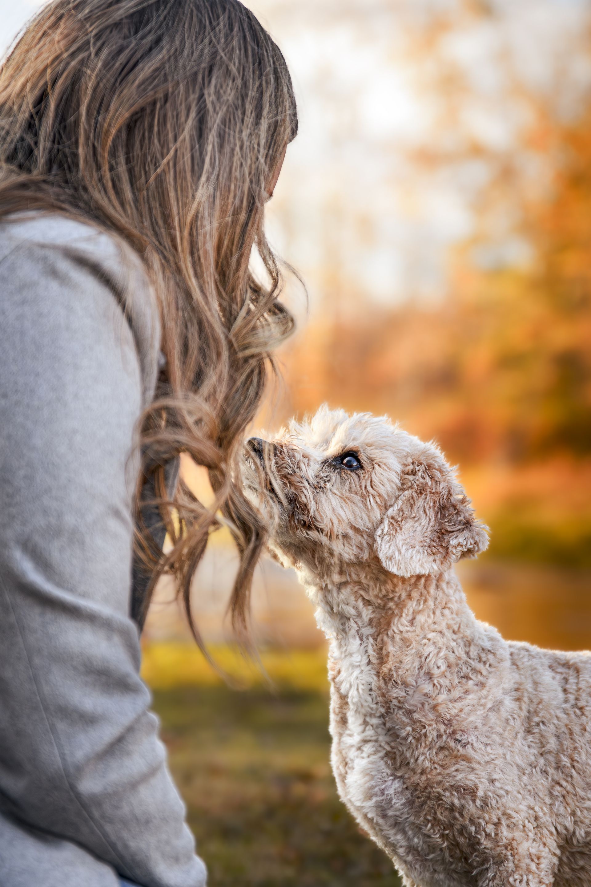 Valentine's Day Photos Calgary