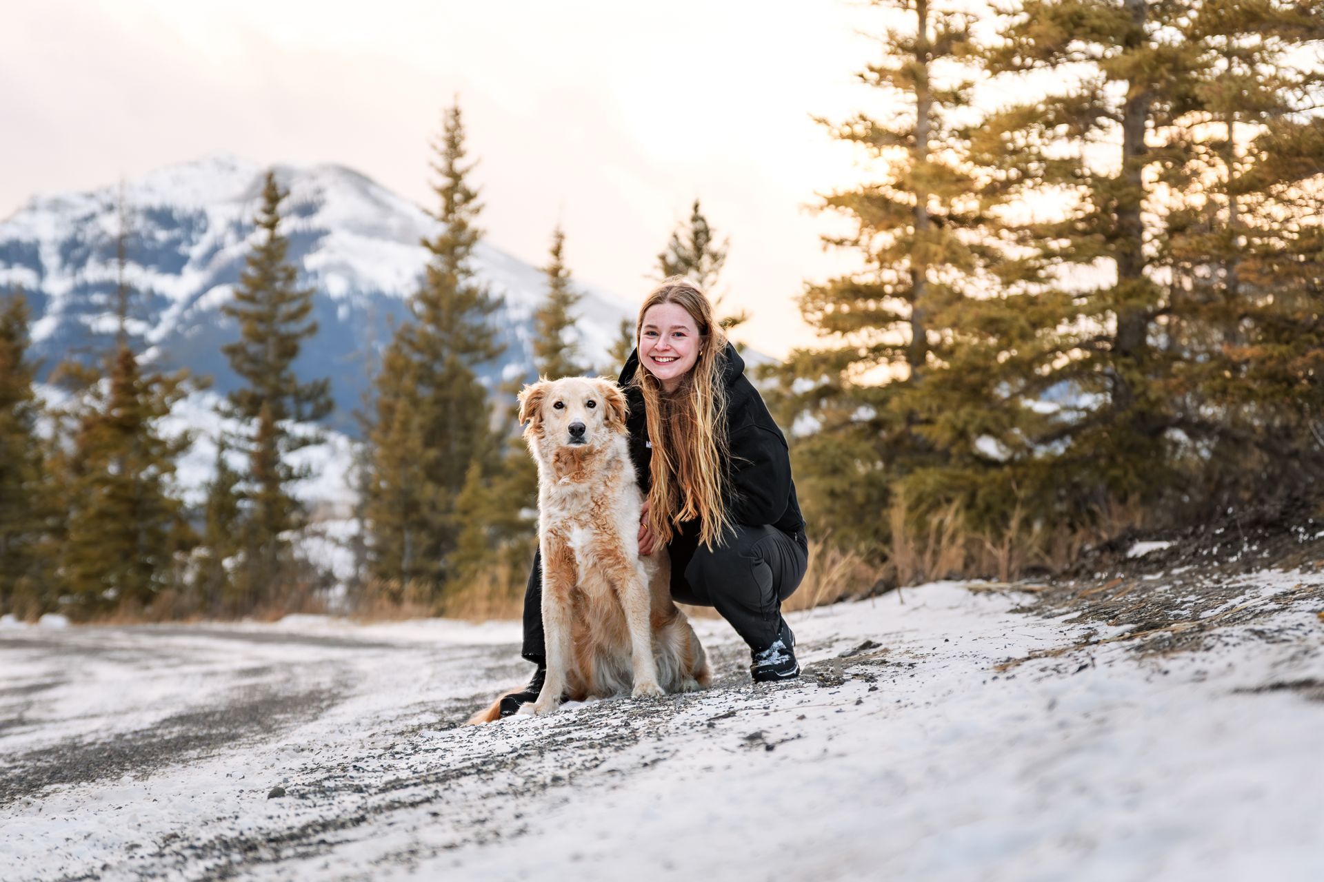 Calgary dog photos, Calgary dog photoshoot, Alberta dog photographer, Alberta dog photography