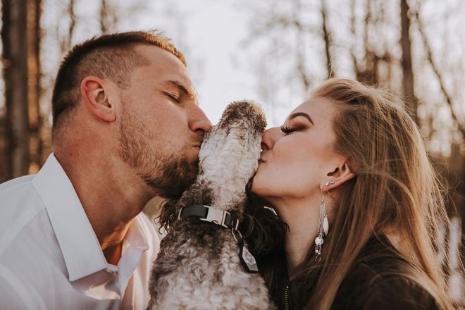 Dog portrait Calgary by pet photographer