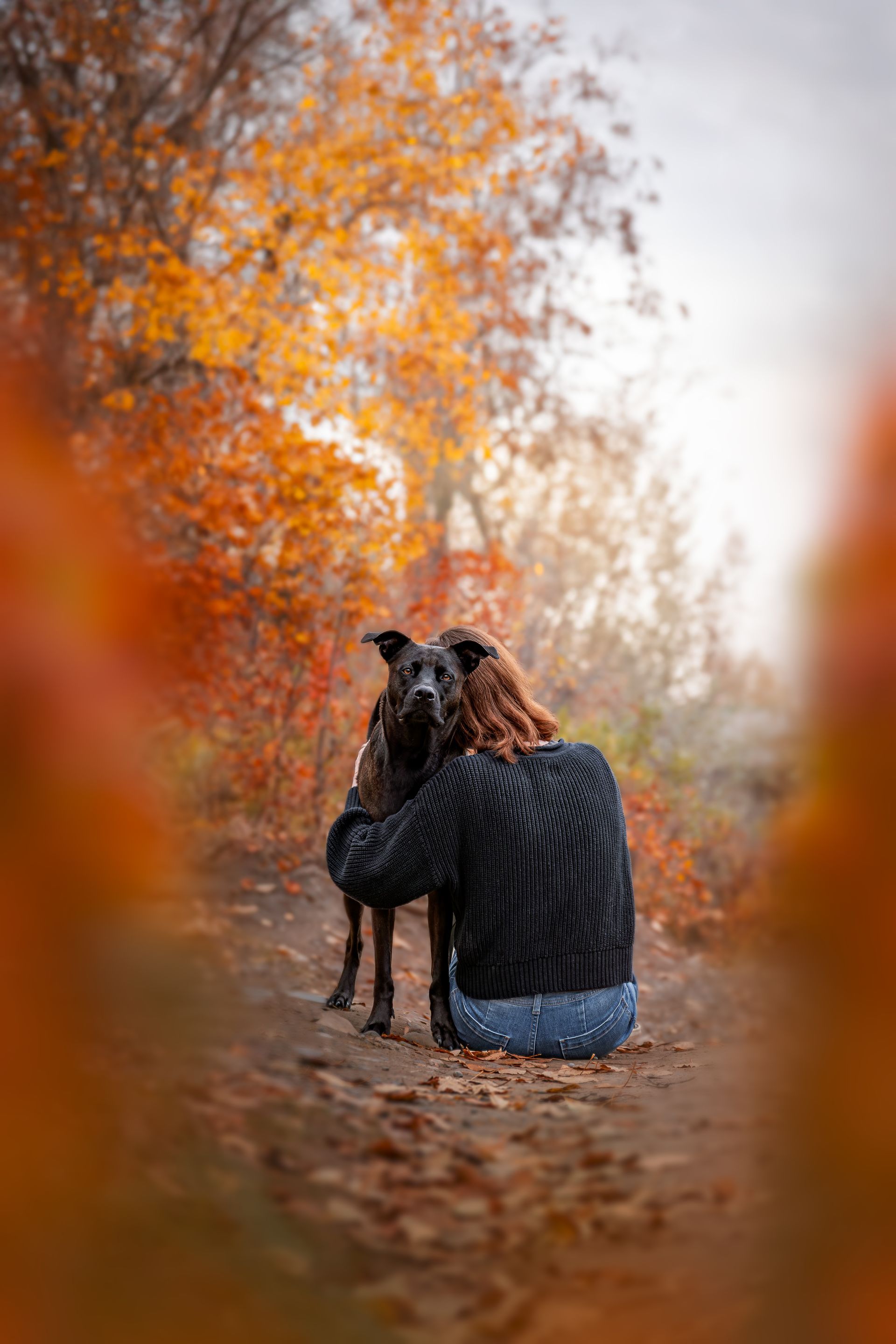 Valentine's Day Photos With Your Dog Calgary