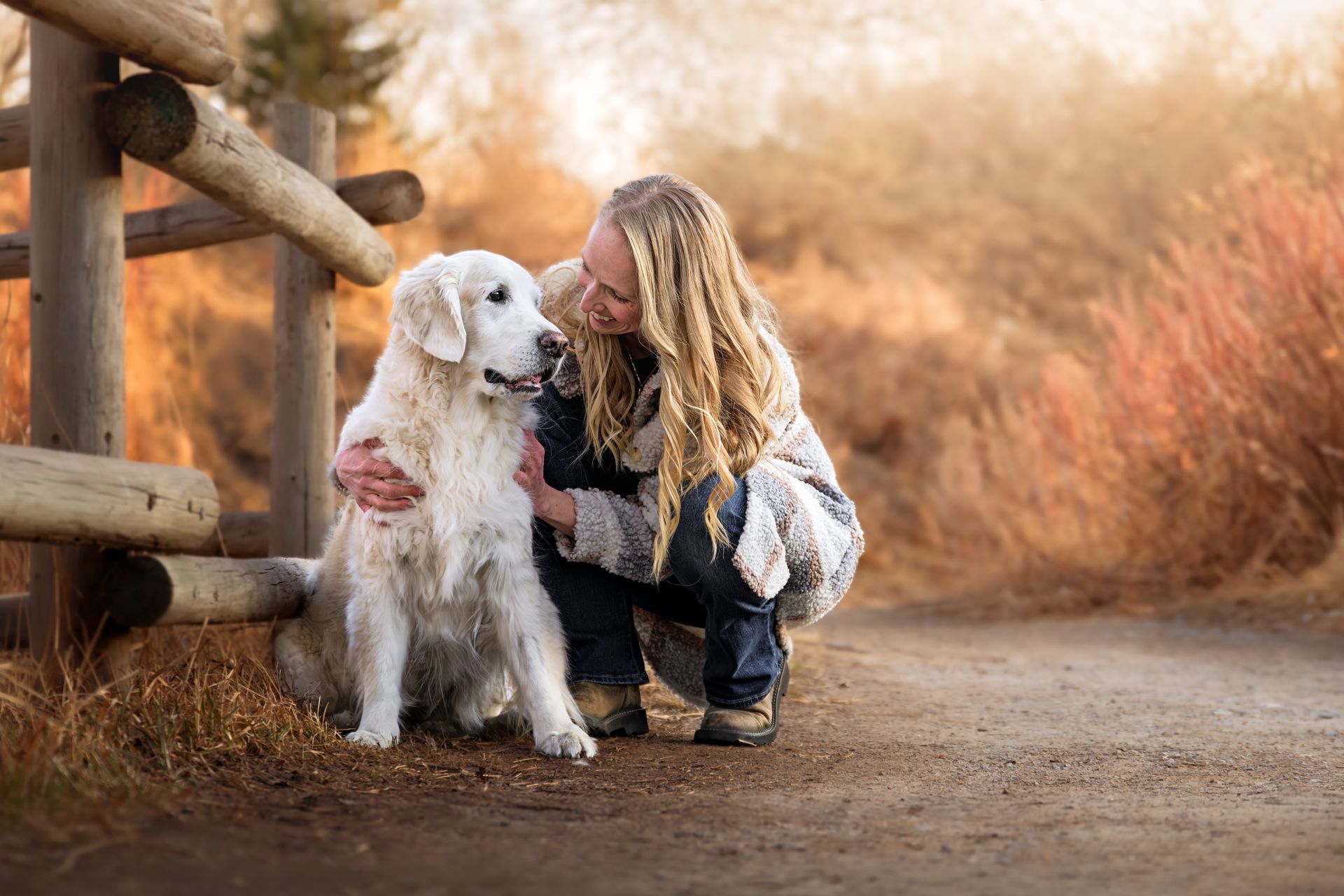 Calgary dog photographer, calgary dog photography, dog photographer calgary, pet photographer