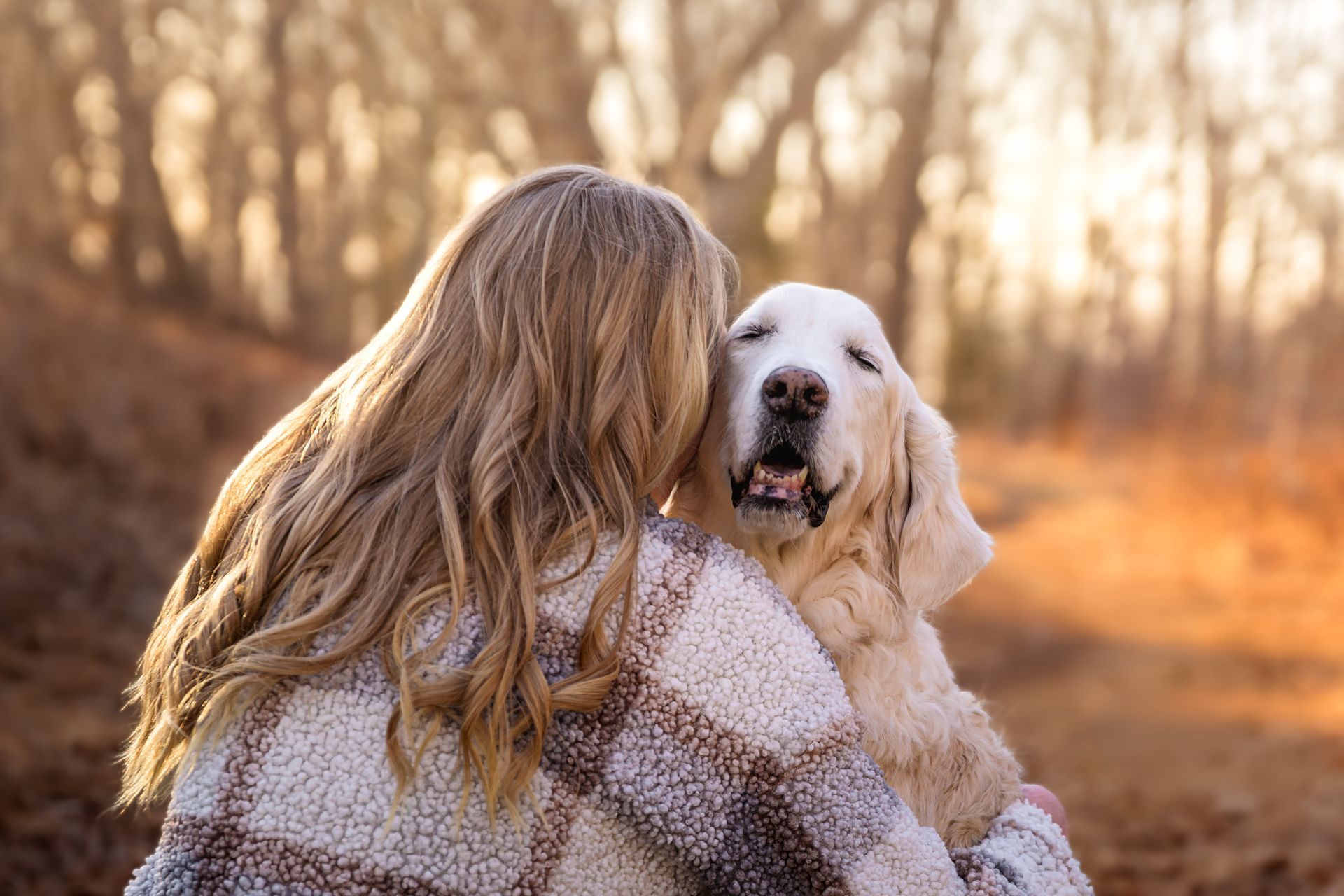 Dog photography calgary, calgary dog photographer, calgary dog photos, doh photoshoot calgary