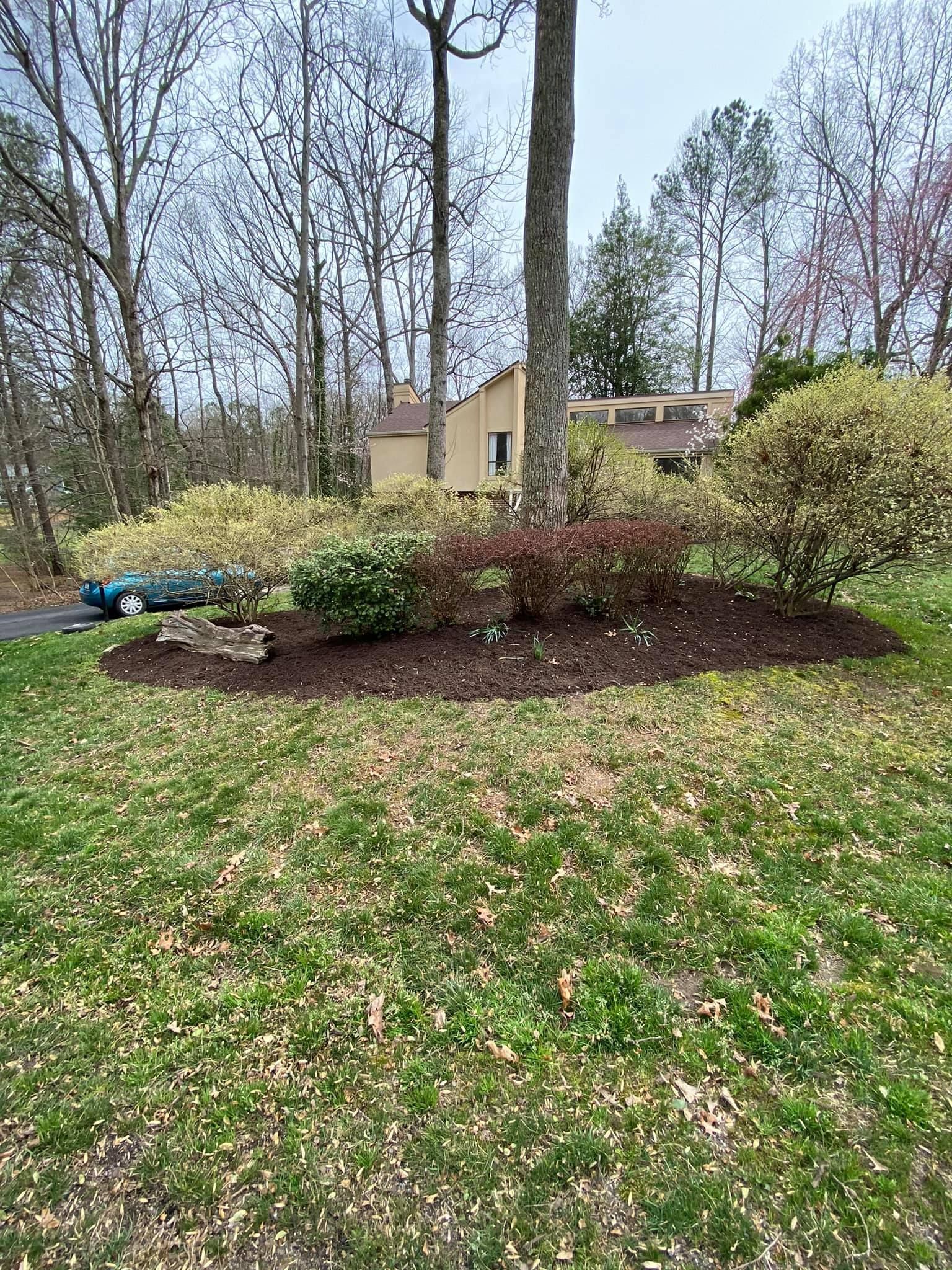 A lush green yard with trees and a house in the background.