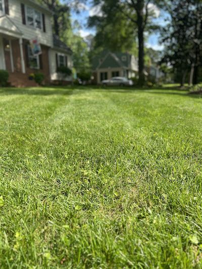 A close up of a lush green lawn in front of a house.