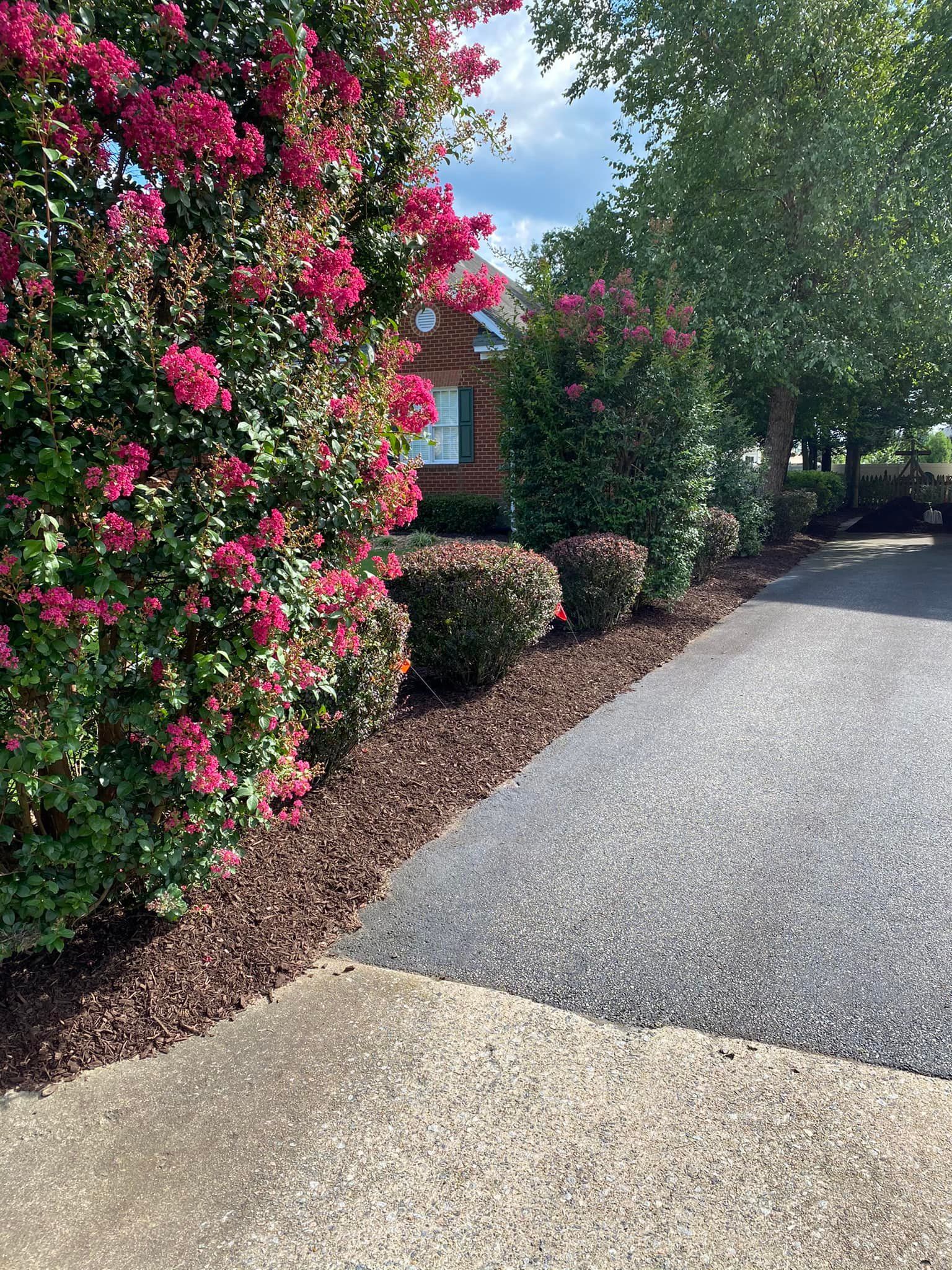 A driveway with pink flowers along the side of it