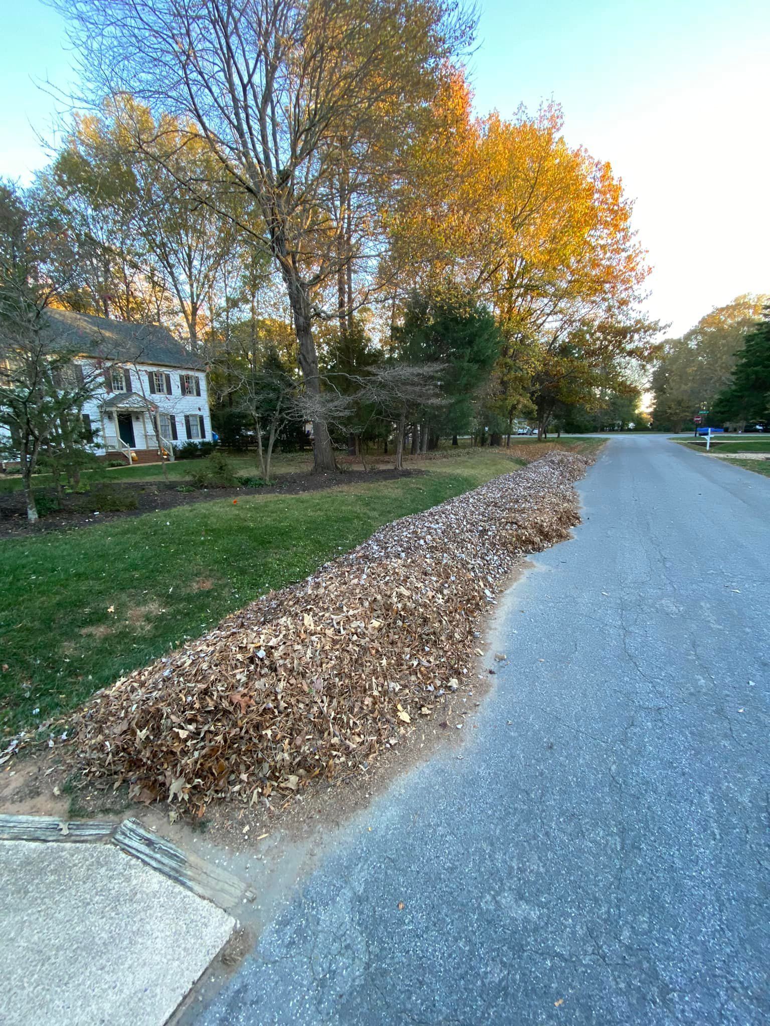 A pile of leaves on the side of a road next to a house.