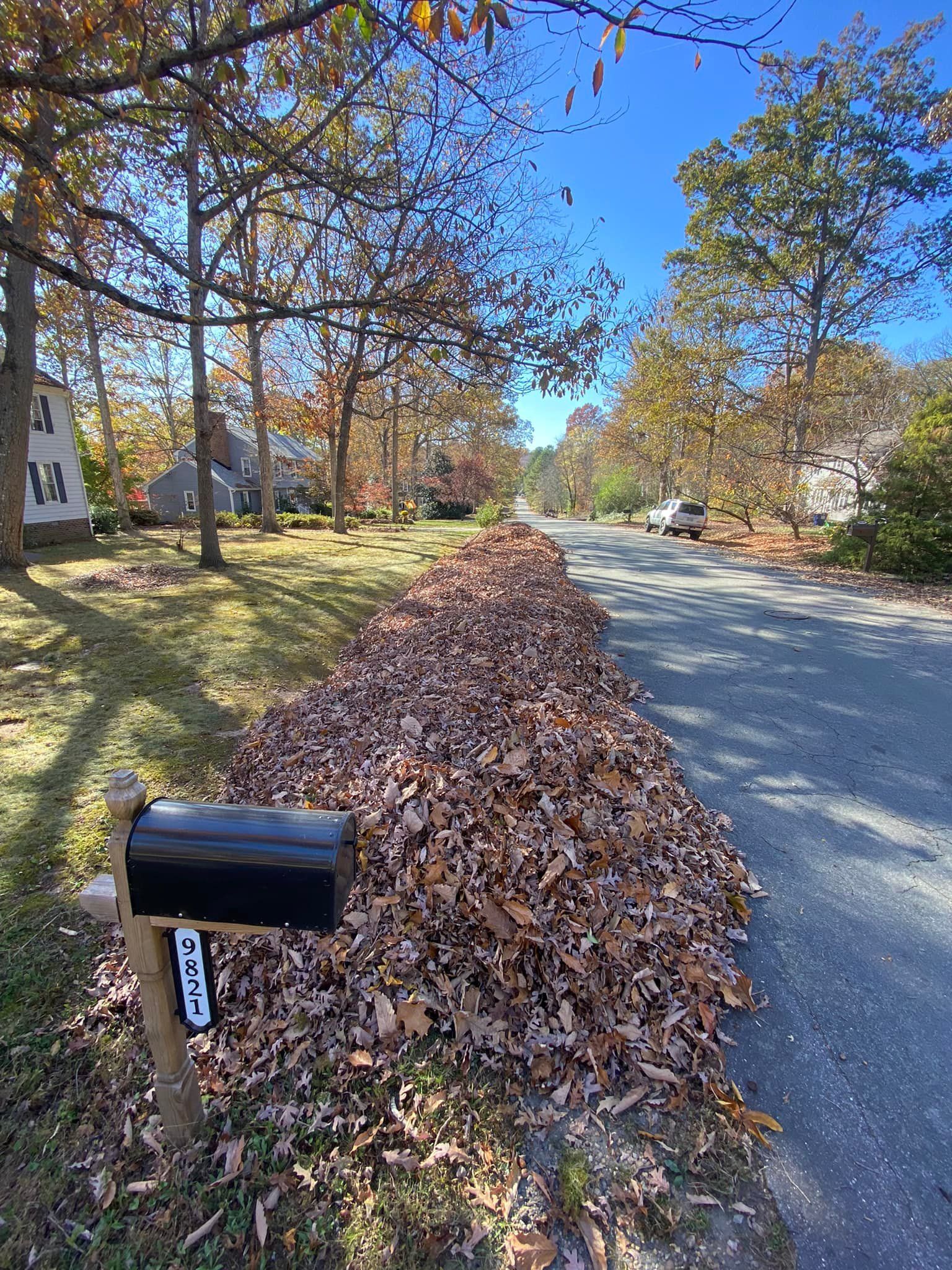 A mailbox is sitting next to a pile of leaves on the side of a road.