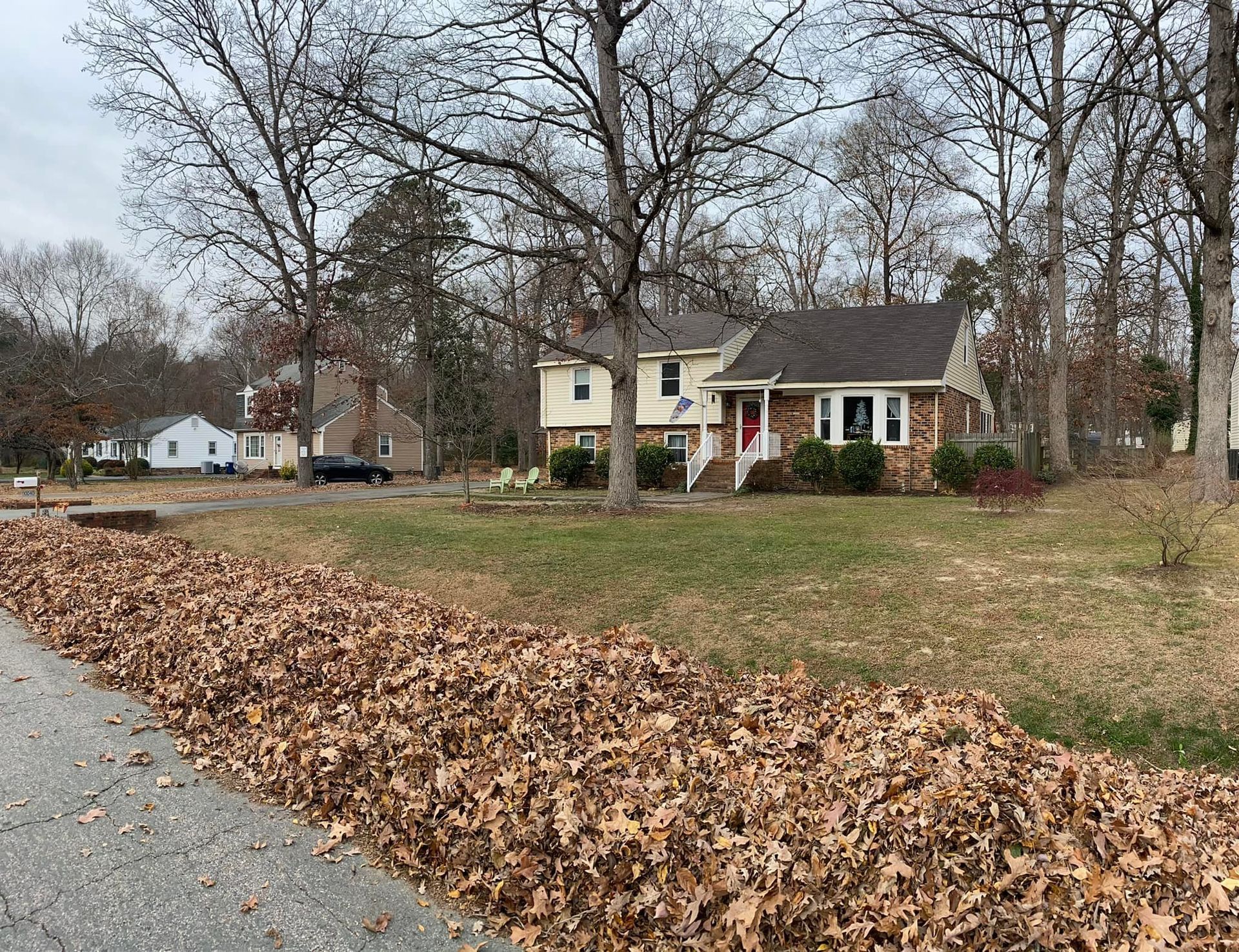A house with a lot of leaves on the side of the road in front of it.