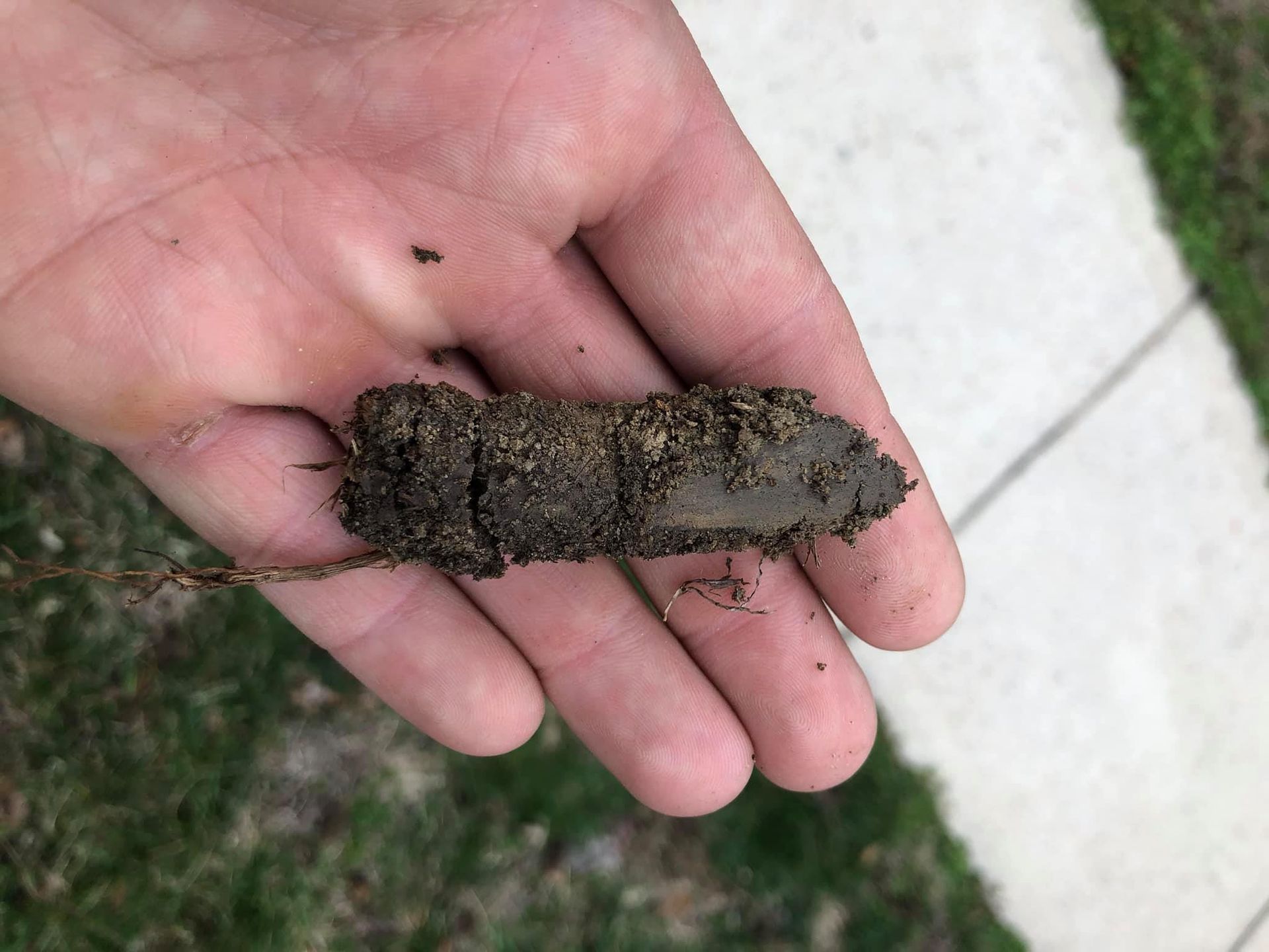 A person is holding a piece of dirt in their hand.
