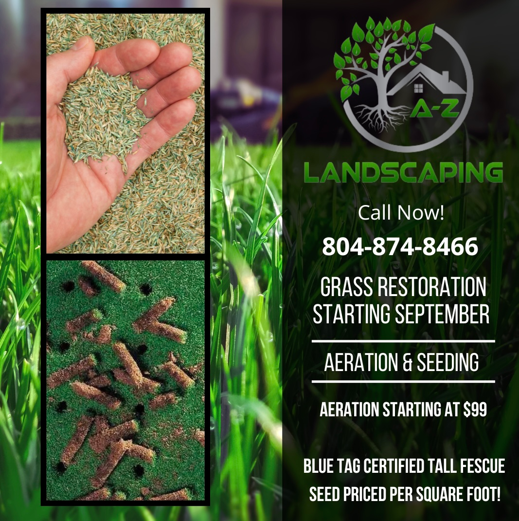 An ad for landscaping shows a hand holding grass seeds