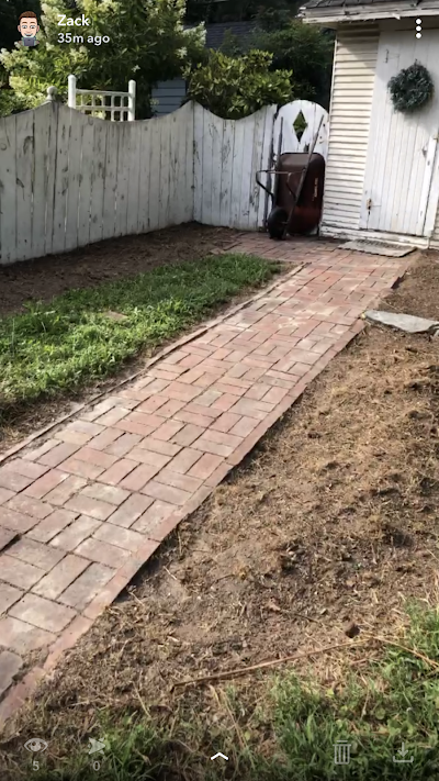 A brick walkway leading to a shed in a backyard.