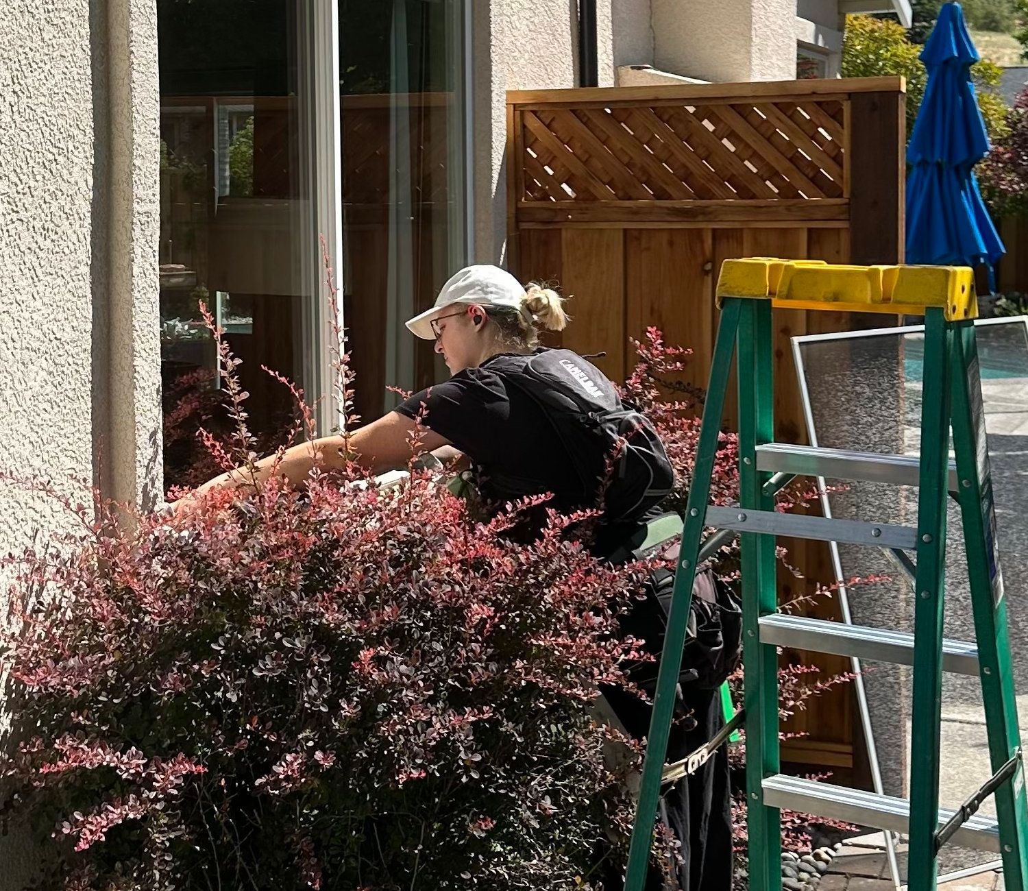 A woman is standing on a ladder working on a window