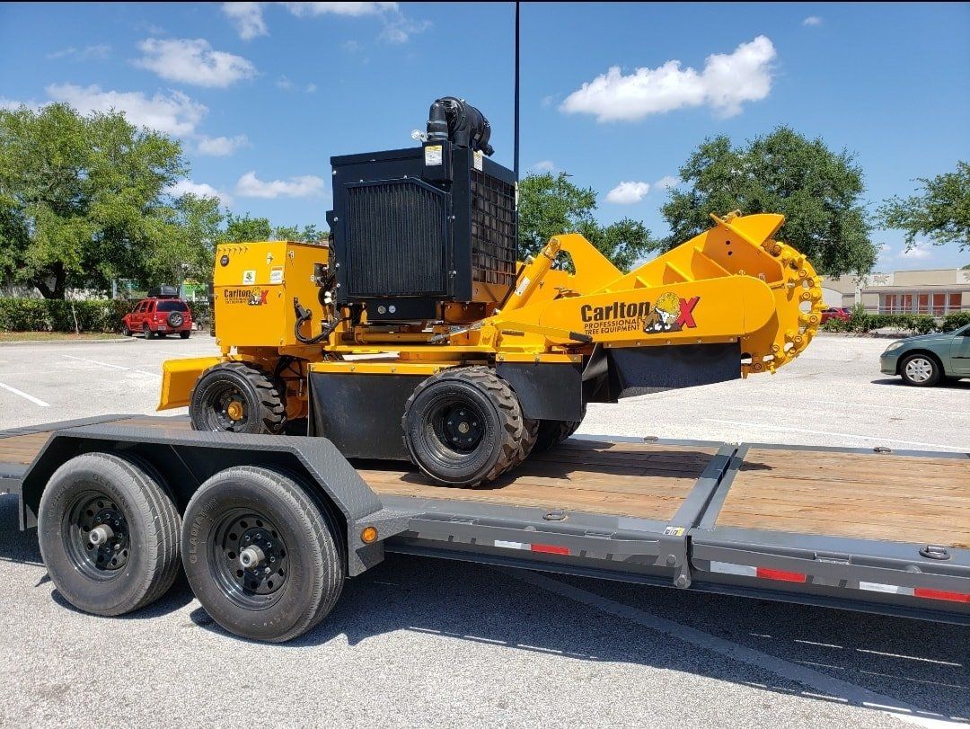 Stump Grinding Pinellas