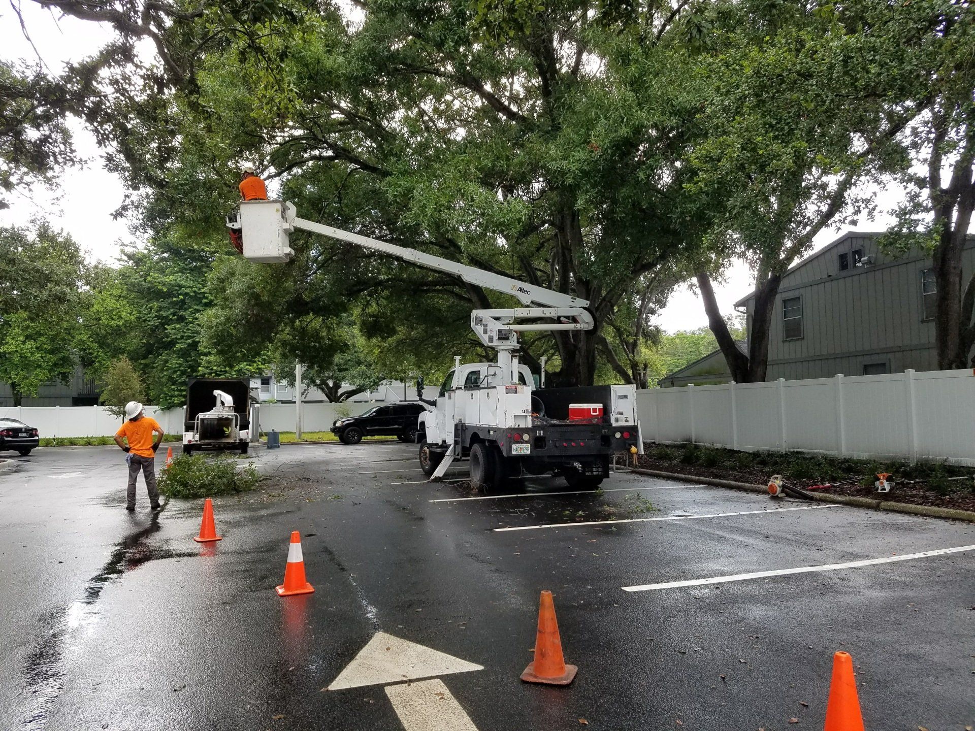 Pinellas County Commercial Tree Services