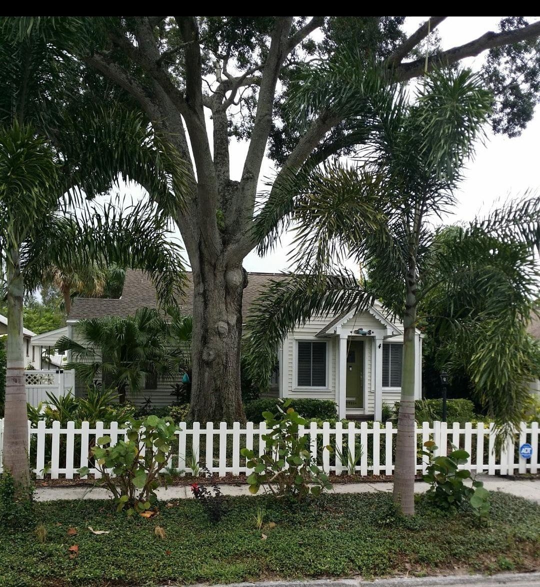 Largo Florida Tree Health Care Arborist