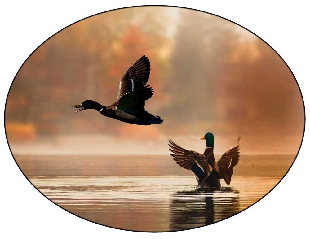 duck are for safe or vault door