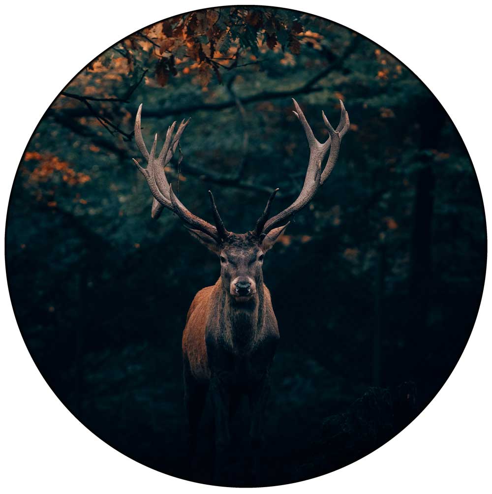 deer art for safes and vault doors