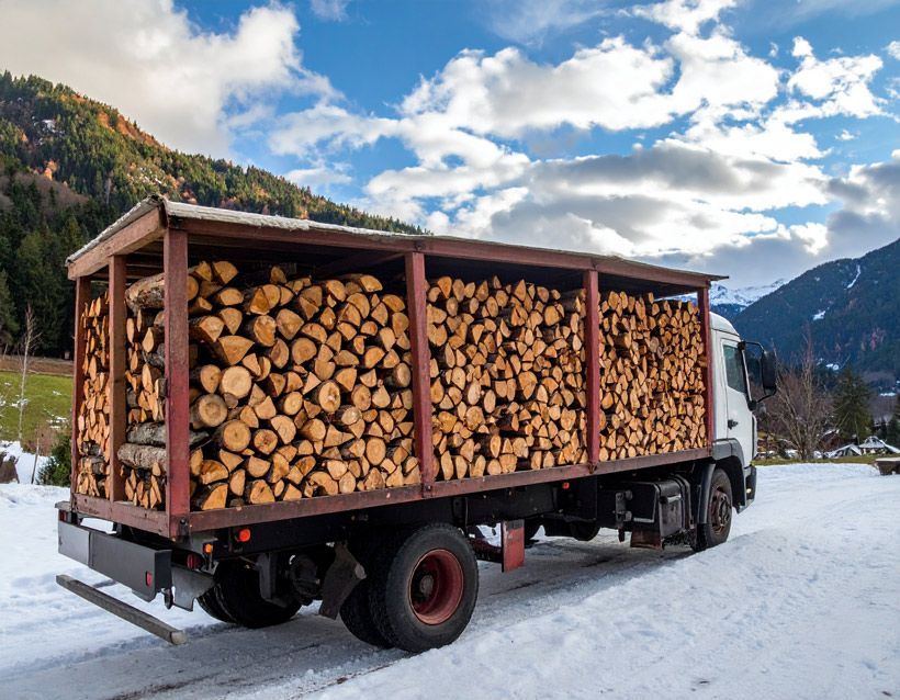 Cutting Trees Using A Chainsaw — Jerome, ID — 4 Seasons Tree Service
