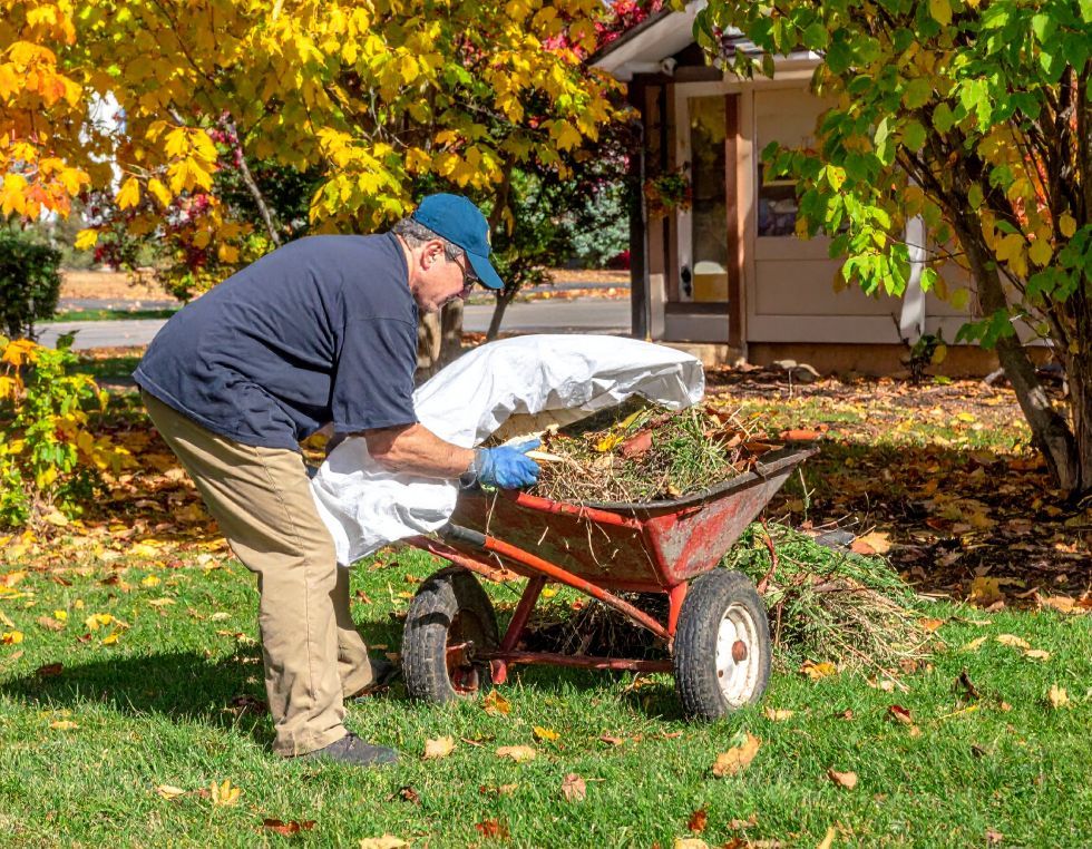 Man emptying leaves from a wheelbarrow into a bag in a yard on a sunny autumn day.