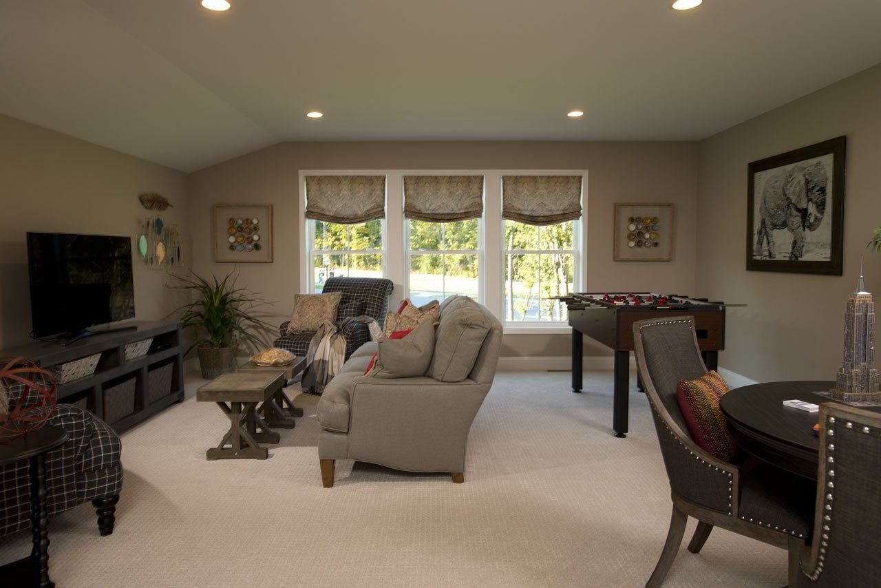Griffin's Ridge - The Fallgate - Large Bonus Room in Basement with lots of light