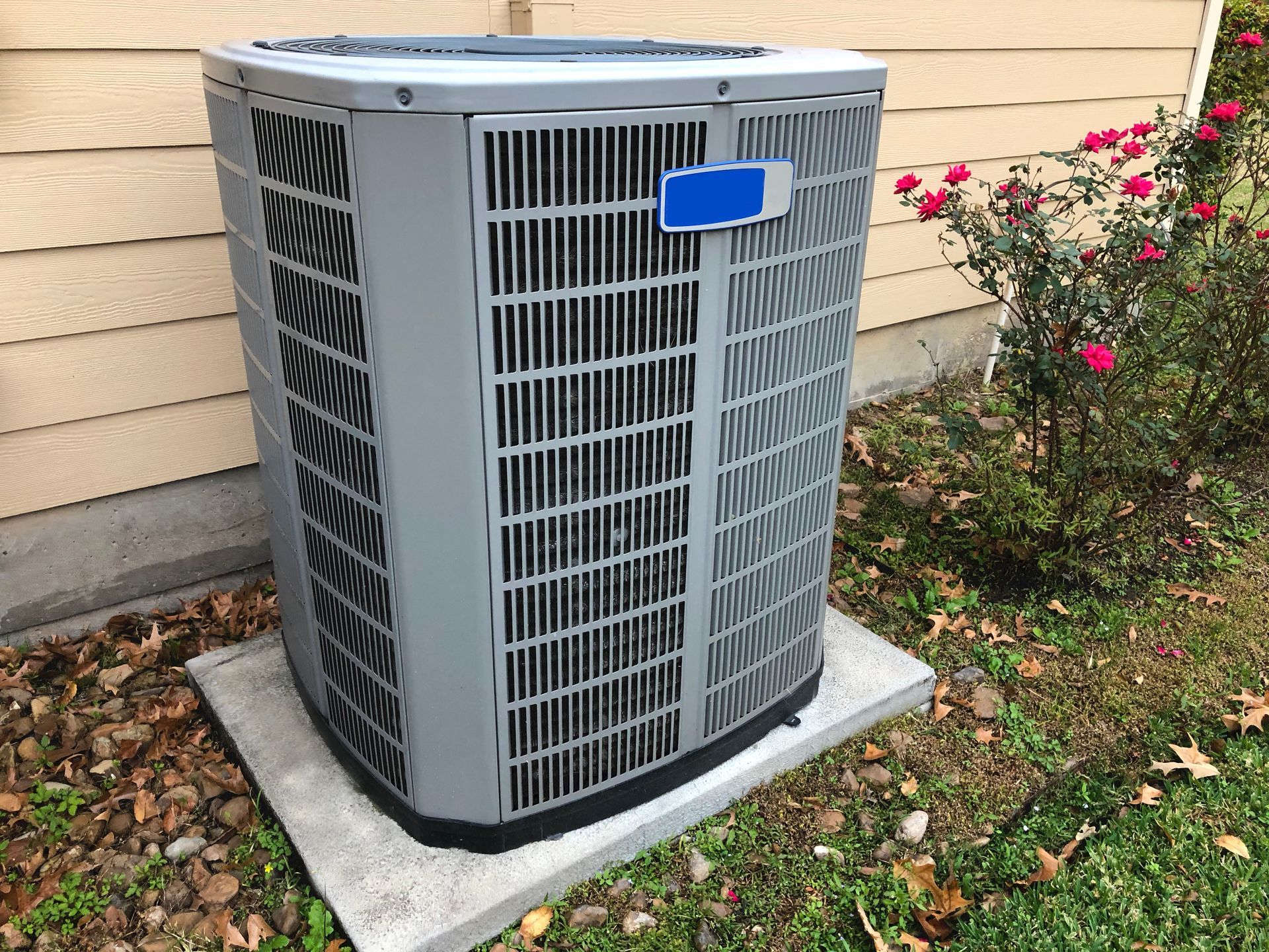 Outdoor central air conditioning unit beside a house wall and rose bush.