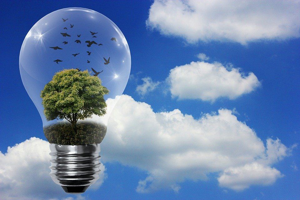 Renewable Resources