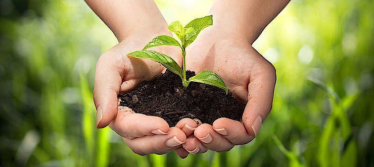 Sustainability