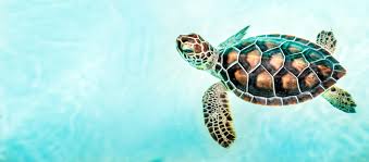 Plastic Free July