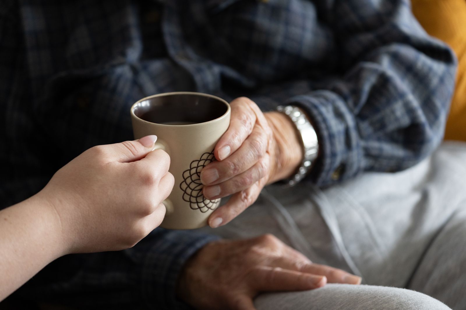 Professional Elderly Care — Aged Care in Tamworth, NSW