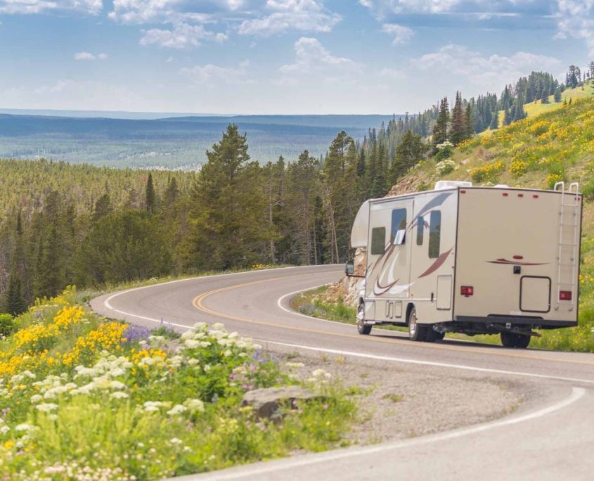 Camper Driving Down Road in The Beautiful Countryside Among Pine Trees and Flowers_