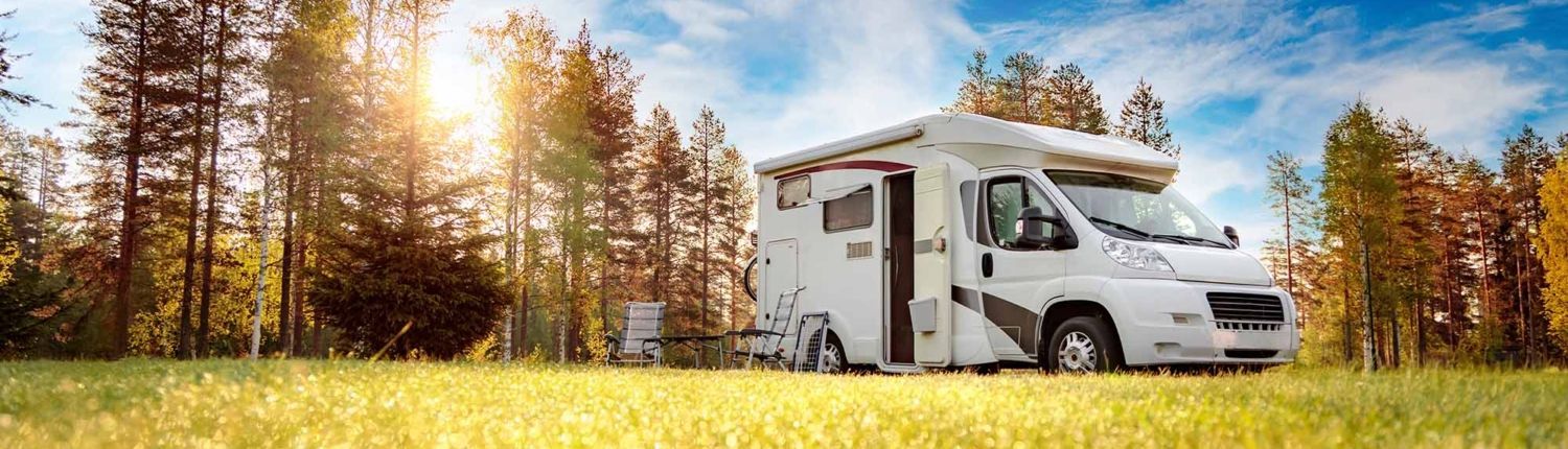 A rv is parked in a field with trees in the background.