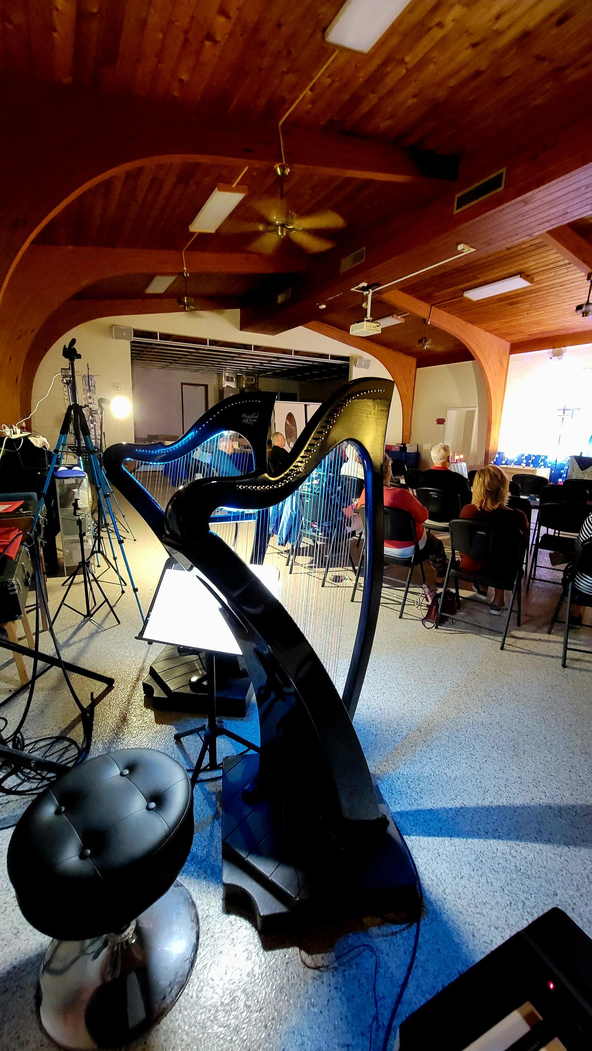 Harp in a performance hall, with musicians and audience visible. Black, gold, and blue harp.