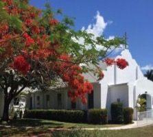 A white house with a tree in front of it with red flowers.