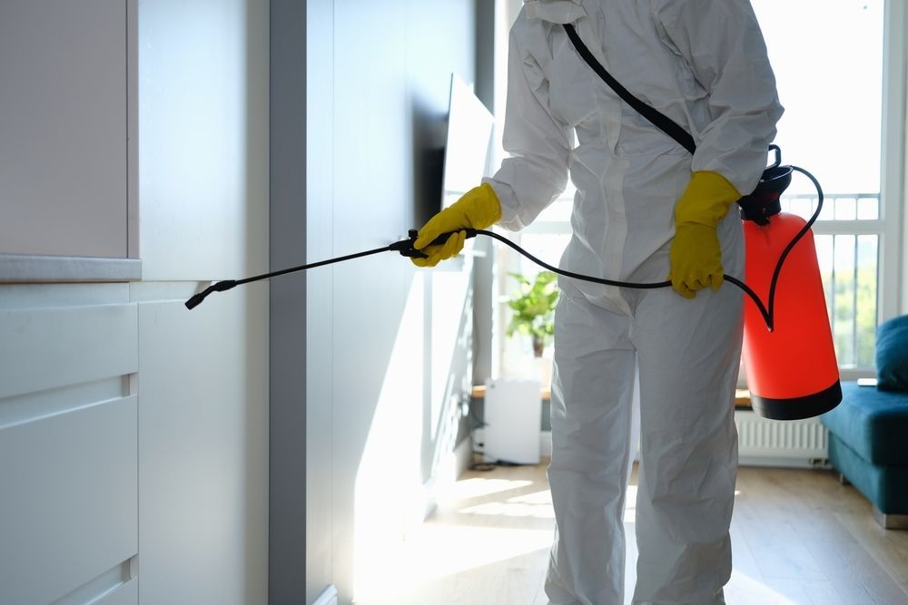 Person in Protective Suit Spraying Insecticide in a Room — McMahon Pest Services In Port Douglas, QLD