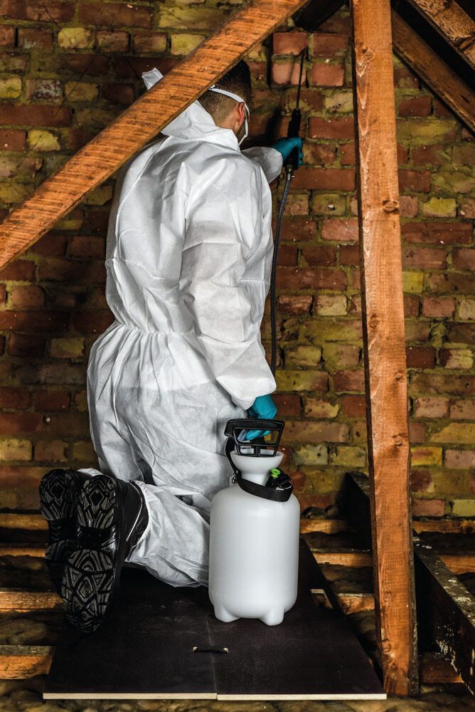 Person in Protective Suit Spraying Brick Wall in an Attic — McMahon Pest Services In Gordonvale, QLD
