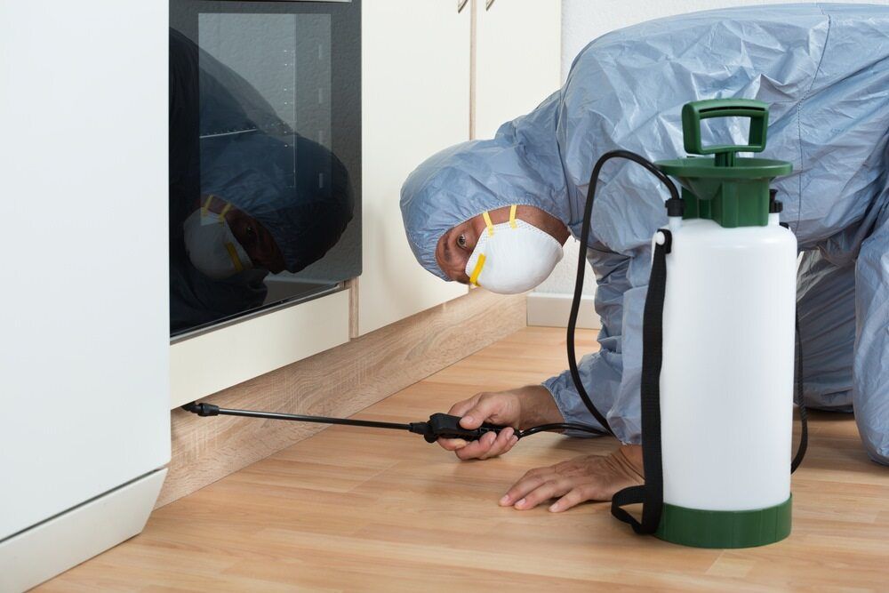 Pest Control Worker in Protective Suit Spraying a Kitchen Floor — McMahon Pest Services In Bentley Park, QLD