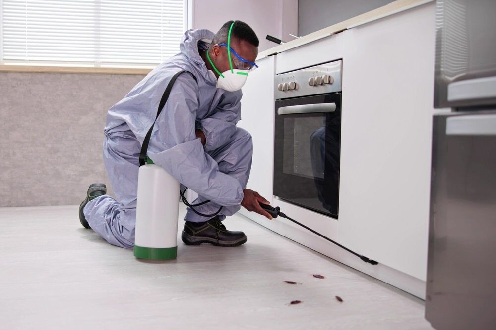 Pest Control Worker Spraying Insecticide Near a Kitchen Cabinet — McMahon Pest Services In Bentley Park, QLD