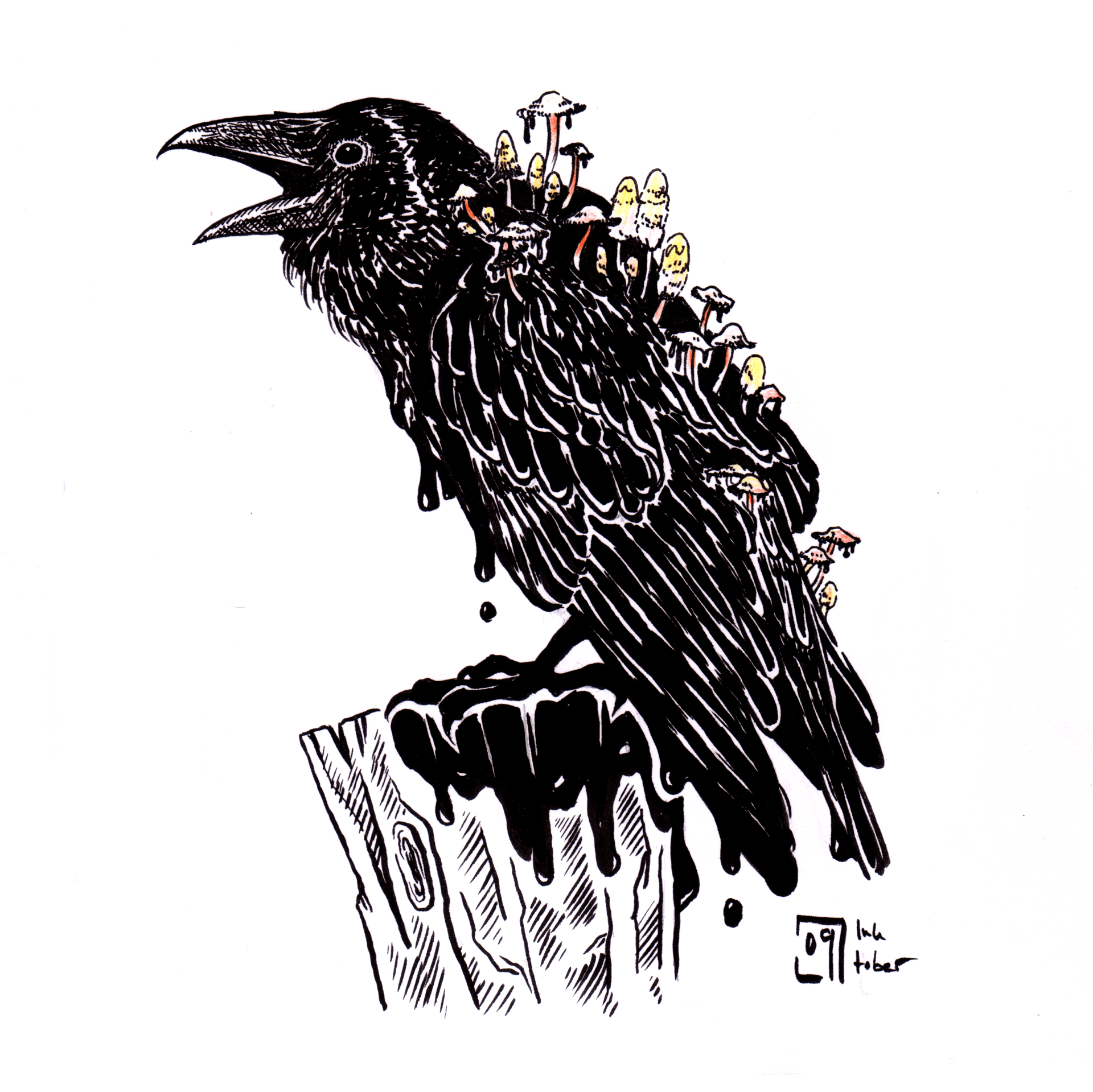 Mariella Fahr Illustration Plantimals Rabe Tintenpilz crow  ink mushroom