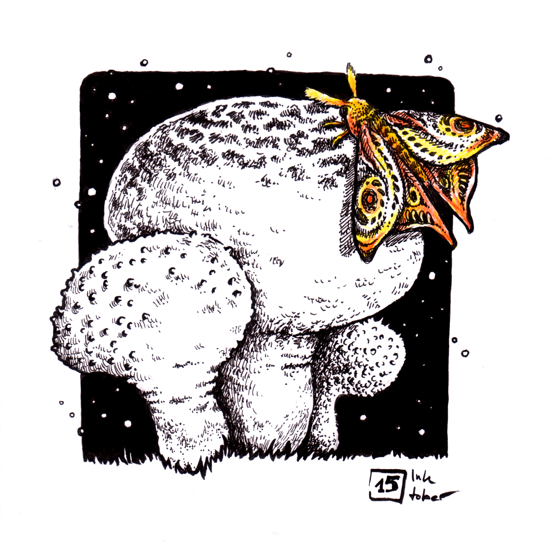 Mariella Fahr Illustration Plantimals Nachtfalter & Bovist • moth & puffball