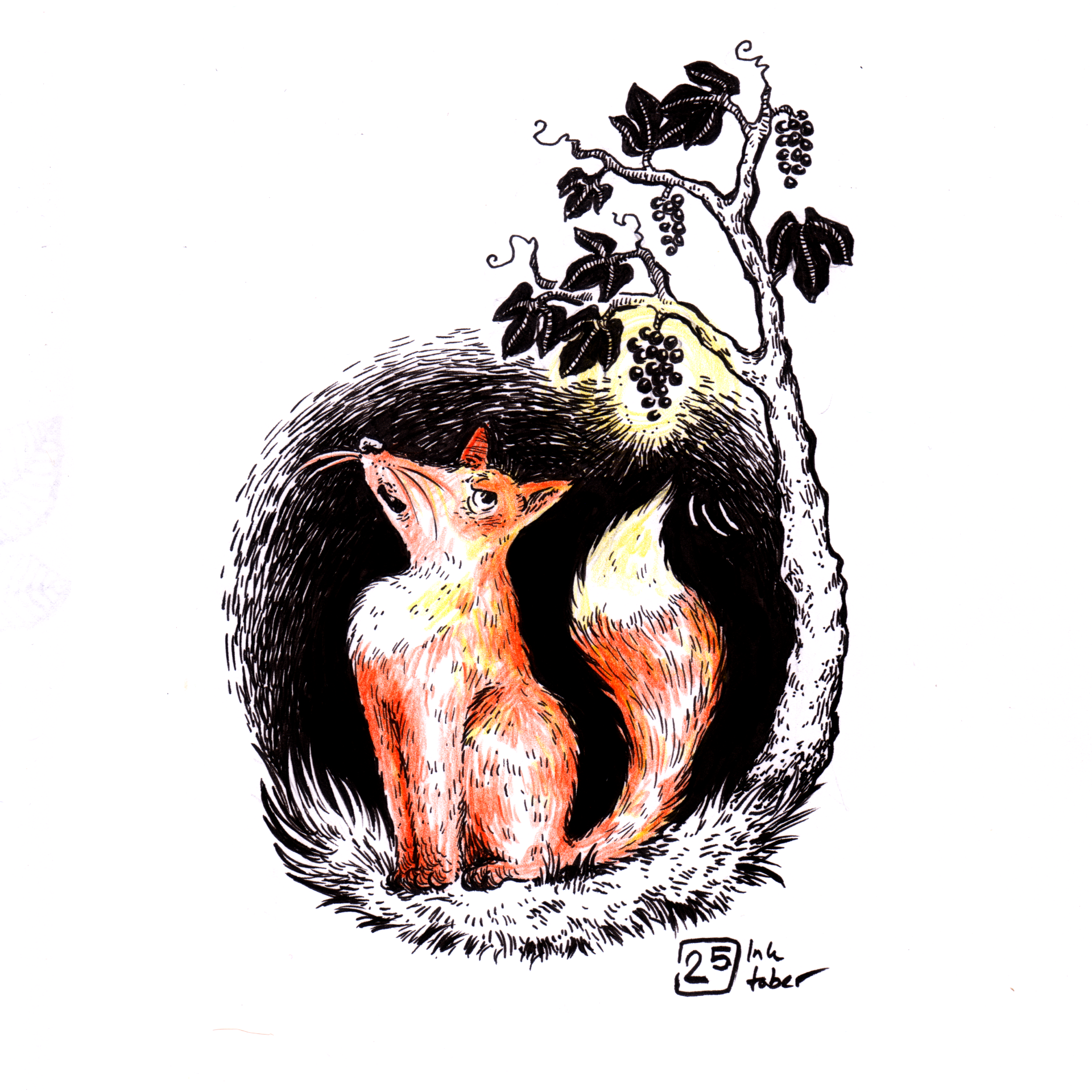 Mariella Fahr Illustration Plantimals Fuchs & Weintrauben • fox & grape