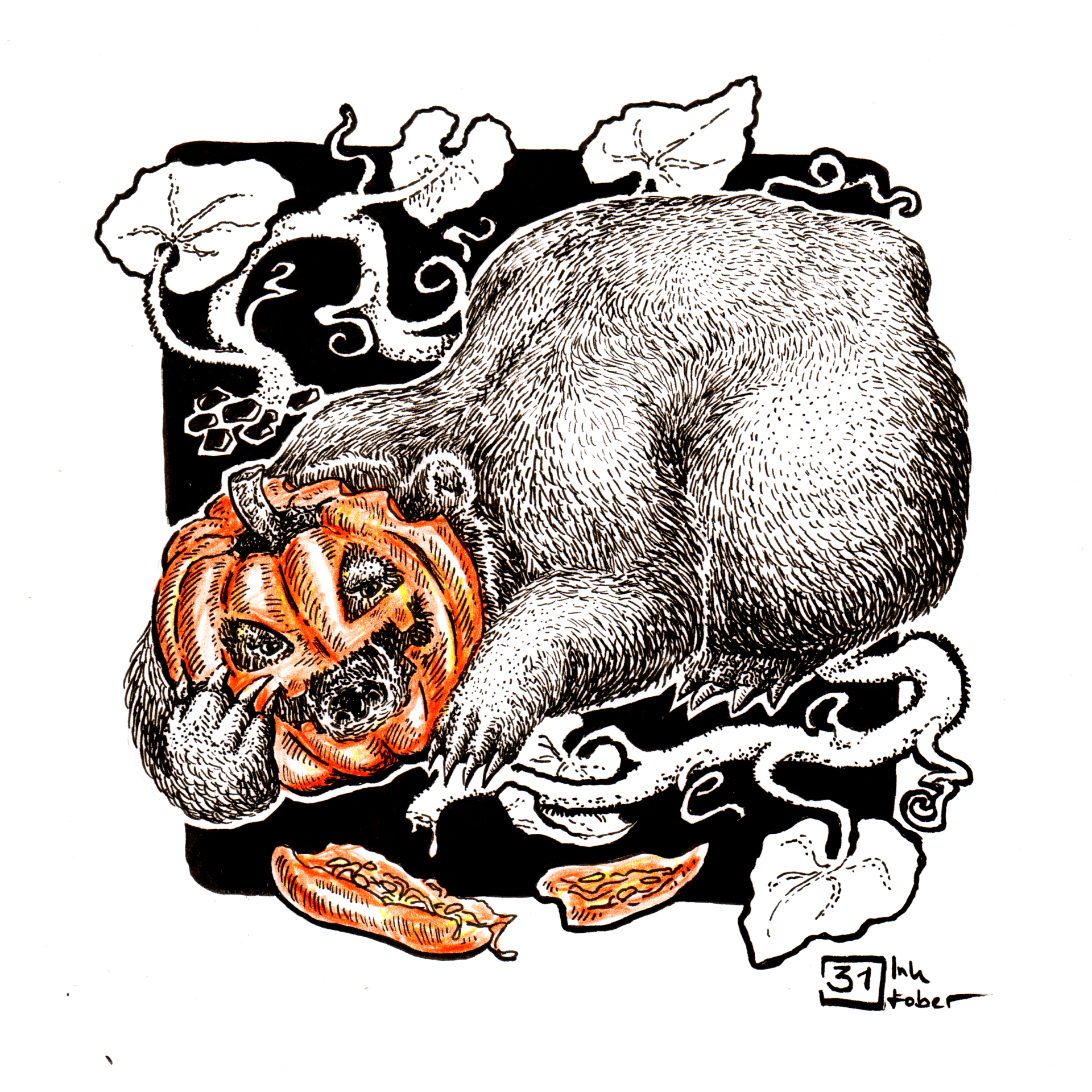 Mariella Fahr Illustration Plantimals Bär & Kürbiss • bear & pumpkin