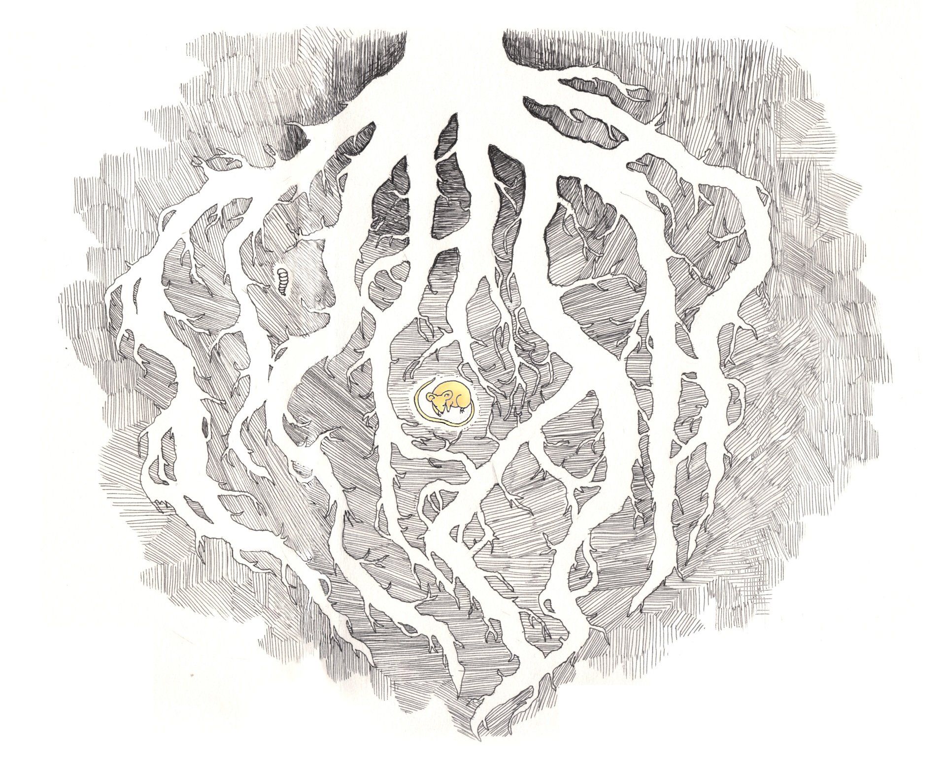 Mariella Fahr Illustration Der Teufel mit den drei goldenen Haaren • The devil with the three golden hairs mouse under a tree wurzeln
